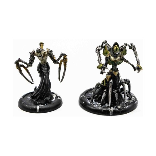 Privateer pres warmachine - privateer,